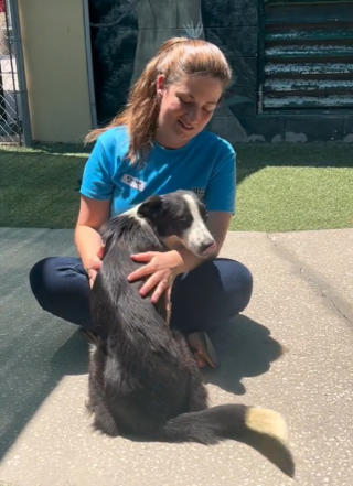 Illustration de l'article : Ce jeune homme accompagne dans un refuge son amie qui souhaite adopter un chien et c'est le coup de foudre (vidéo)