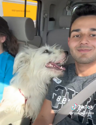 Illustration de l'article : Ce jeune homme accompagne dans un refuge son amie qui souhaite adopter un chien et c'est le coup de foudre (vidéo)