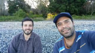 Illustration de l'article : Le soutien d'une communauté internet pour aider un couple, propriétaire de 31 boules de poils, à trouver un nouveau logement