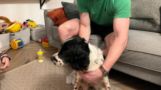 Illustration de l'article : Interpellé par des aboiements, un fermier trouve un chien coincé dans les barbelés qui était porté disparu depuis 2 mois