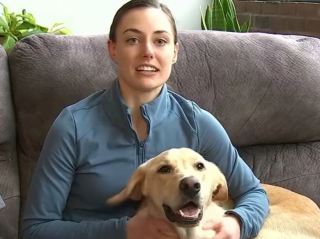 Illustration de l'article : Hanz, un croisé Labrador craintif, disparaît pendant 10 jours, alors que ses maîtres se marient à 2 700 kilomètres de chez eux