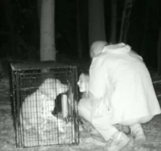 Illustration de l'article : Hanz, un croisé Labrador craintif, disparaît pendant 10 jours, alors que ses maîtres se marient à 2 700 kilomètres de chez eux