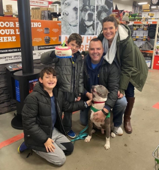 Illustration de l'article : Ce chien de refuge aimant devient le meilleur ami d’un peintre en bâtiment