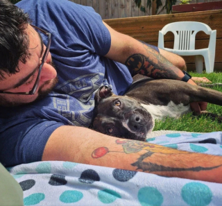 Illustration de l'article : 9 photos montrant l’amour formidable entre les chiens et les pères de famille