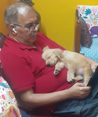 Illustration de l'article : 9 photos montrant l’amour formidable entre les chiens et les pères de famille