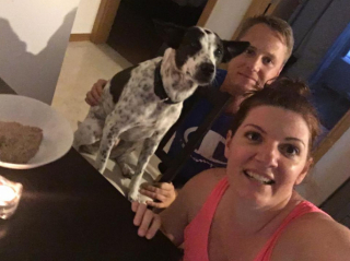 Illustration de l'article : Le long combat de Munchkin, la petite chienne balinaise, pour rejoindre sa famille pour la vie