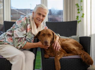 Illustration de l'article : Cette retraitée de 79 ans utilise toutes ses économies pour soigner son Labrador Retriever, atteint d’une pathologie rare