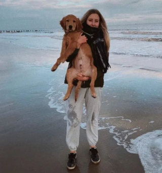 Illustration de l'article : Direction la clinique vétérinaire pour ce Golden Retriever farceur qui a avalé des AirPods