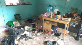 Illustration de l'article : Suite à des soupçons de maltraitance, un chien et 2 chats ont été retirés de manière préventive à leur propriétaire