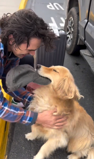 Illustration de l'article : La joie communicative de Timber, la chienne Golden Retriever, qui pleure de joie lorsqu’elle retrouve son Humain préféré (vidéo)