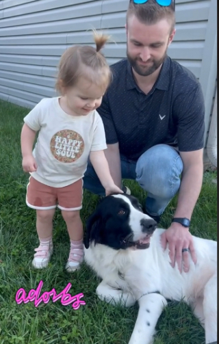 Illustration de l'article : Le bonheur de Daisy, une chienne de refuge, lorsqu’elle découvre enfin son nouveau foyer (vidéo)