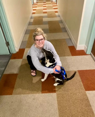 Illustration de l'article : Une femme sauve un chien errant durant le week-end de son anniversaire et finit par l'adopter