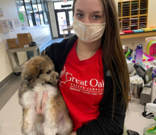 Illustration de l'article : Des lycéens héroïques s'unissent pour sauver 50 chiots en détresse