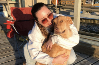 Illustration de l'article : Atteint d’une très grave maladie, un chien de refuge courageux se bat pour mener une vie normale