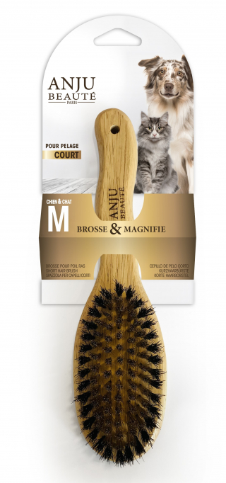 Illustration de l'article : Découvrez les must-have du printemps pour combler votre compagnon à 4 pattes à l’arrivée des beaux jours