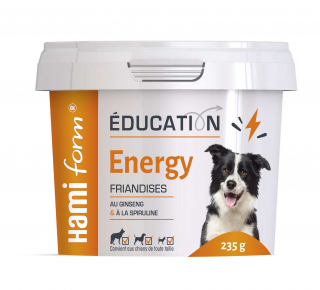 Illustration de l'article : Découvrez les must-have du printemps pour combler votre compagnon à 4 pattes à l’arrivée des beaux jours