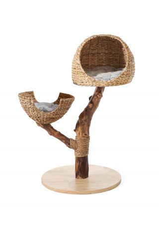 Illustration de l'article : Découvrez les must-have du printemps pour combler votre compagnon à 4 pattes à l’arrivée des beaux jours