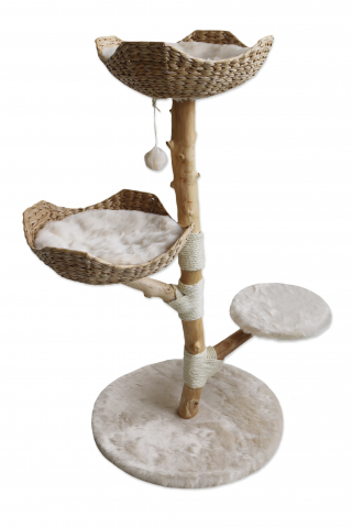 Illustration de l'article : Découvrez les must-have du printemps pour combler votre compagnon à 4 pattes à l’arrivée des beaux jours