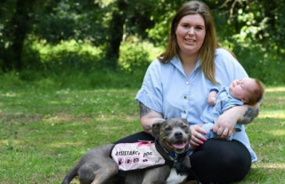 Illustration de l'article : Le soutien précieux de Belle, chienne d’assistance, qui accompagne au quotidien sa maîtresse dans tous les instants de sa vie