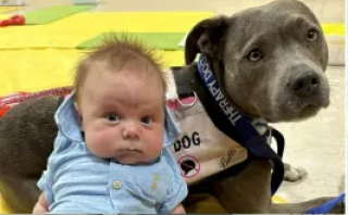 Illustration de l'article : Le soutien précieux de Belle, chienne d’assistance, qui accompagne au quotidien sa maîtresse dans tous les instants de sa vie