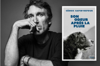 Illustration de l'article : Comment accompagner son animal en fin de vie et se préparer à son deuil ?