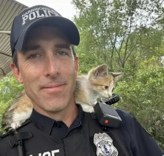 Illustration de l'article : Grâce à l’intervention d’un bon samaritain, ce policier a un véritable coup de foudre pour un chaton abandonné