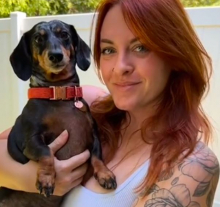 Illustration de l'article : Apr&egrave;s avoir envahi leur espace, ce Teckel doit faire face &agrave; 4 adorables chatons qui font tout pour l&rsquo;effrayer (vid&eacute;o)