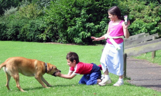 Illustration de l'article : L'émouvante histoire d'amour à sens unique entre une chienne et une enfant devenue amour tout court au bout de 10 années