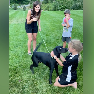 Illustration de l'article : Les parents de 4 enfants leur réservent la plus belles des surprises en adoptant ce chien Coonhound en cachette (vidéo)