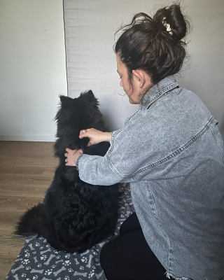 Illustration de l'article : Découvrez Coda, le premier concept store dédié au bien-être des chiens et des chats (vidéo)