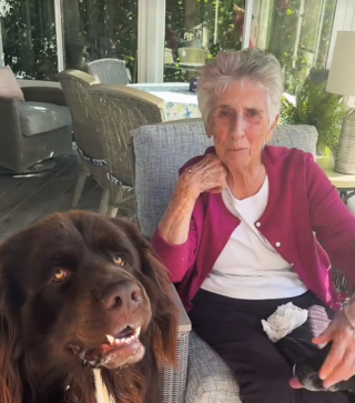 Illustration de l'article : La tendre complicité unissant Chewy, le Terre-Neuve, à la grand-mère de sa propriétaire (vidéo)