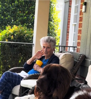 Illustration de l'article : La tendre complicité unissant Chewy, le Terre-Neuve, à la grand-mère de sa propriétaire (vidéo)