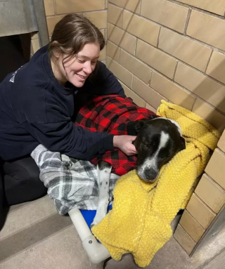 Illustration de l'article : L’adorable affection d’une chienne croisée Border Collie pour son doudou préféré