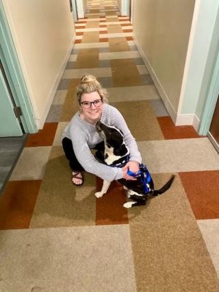 Illustration de l'article : Une femme recueille un chien "errant" le jour de son anniversaire et croit devoir s'en séparer jusqu'à ce que sa famille la contacte quelques jours plus tard