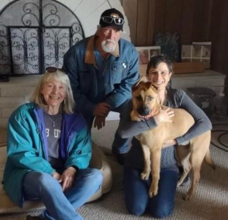 Illustration de l'article : L’incroyable chaîne de solidarité pour venir en aide à un chiot errant de 4 mois