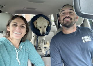 Illustration de l'article : Après des jours d’errance, ce gentil Labrador peut remercier son instinct de l’avoir poussé à frapper à la bonne porte (vidéo)