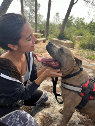 Illustration de l'article : Un refuge au bord du gouffre alors qu'il accueille des centaines d'animaux reçoit l'aide inespérée d'un inconnu