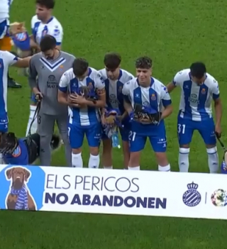 Illustration de l'article : Un club de football s’engage publiquement, afin de sensibiliser contre l’abandon et de promouvoir l’adoption