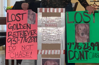 Illustration de l'article : Un chien disparu depuis 3 mois fait la plus belle des surprises à sa famille la veille de Noël