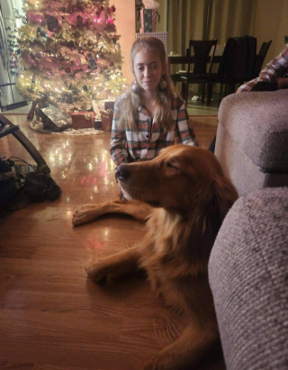 Illustration de l'article : Un chien disparu depuis 3 mois fait la plus belle des surprises à sa famille la veille de Noël