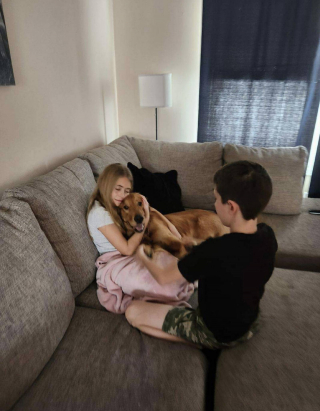 Illustration de l'article : Un chien disparu depuis 3 mois fait la plus belle des surprises à sa famille la veille de Noël