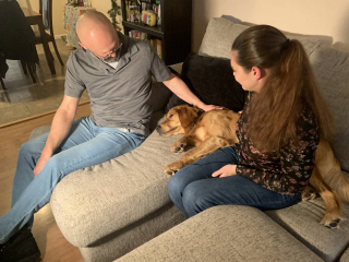 Illustration de l'article : Un chien disparu depuis 3 mois fait la plus belle des surprises à sa famille la veille de Noël