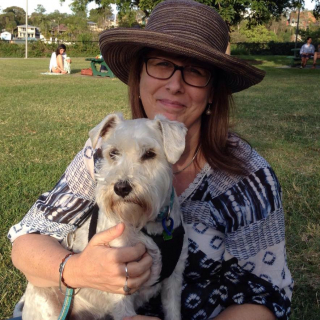 Illustration de l'article : Après son passage chez le toiletteur, un chien révèle à sa maîtresse une drôle de particularité