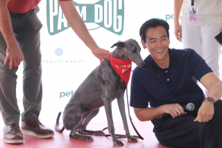 Illustration de l'article : Kodi, star du film « Le Procès du chien » de Laetitia Dosch, remporte la Palm Dog Woopets 2024