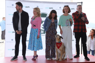 Illustration de l'article : Kodi, star du film « Le Procès du chien » de Laetitia Dosch, remporte la Palm Dog Woopets 2024