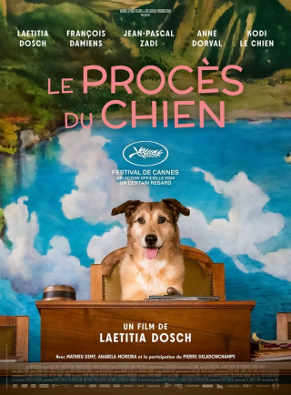 Illustration de l'article : Kodi, star du film « Le Procès du chien » de Laetitia Dosch, remporte la Palm Dog Woopets 2024