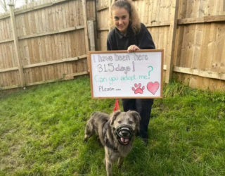 Illustration de l'article : Le combat de Charlie pour surmonter ses traumatismes après avoir vécu des années dans une grange délabrée