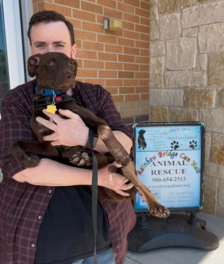 Illustration de l'article : Un refuge sollicite l’aide de sa communauté internet, afin de prendre en charge 3 chiots retrouvés dans un état déplorable