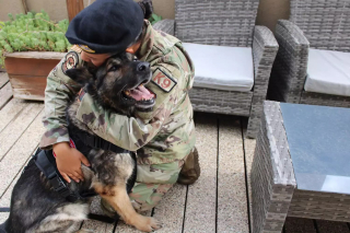 Illustration de l'article : Une association intervient en faveur d'un chien et de sa maîtresse militaire soudés par un épisode traumatisant et qui rêvaient de se retrouver depuis un an
