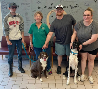 Illustration de l'article : Un chien errant monte dans un bus scolaire dans l’espoir de se faire des amis et finit par trouver une famille pour la vie